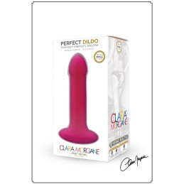 Votre Loveshop dans le 71 à Chalon sur Saône Perfect Dildo