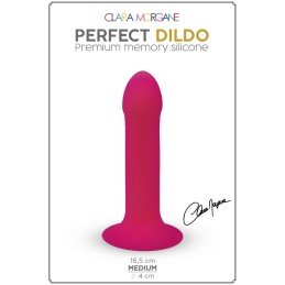 Votre Loveshop dans le 71 à Chalon sur Saône Perfect Dildo