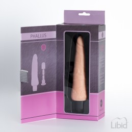 Votre Loveshop dans le 71 à Chalon sur Saône Phallus Gode