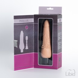 Votre Loveshop dans le 71 à Chalon sur Saône Phallus Gode