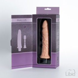 Votre Loveshop dans le 71 à Chalon sur Saône Phallus Gode