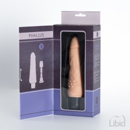 Votre Loveshop dans le 71 à Chalon sur Saône Phallus Gode